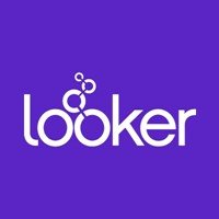 Looker Studio icon