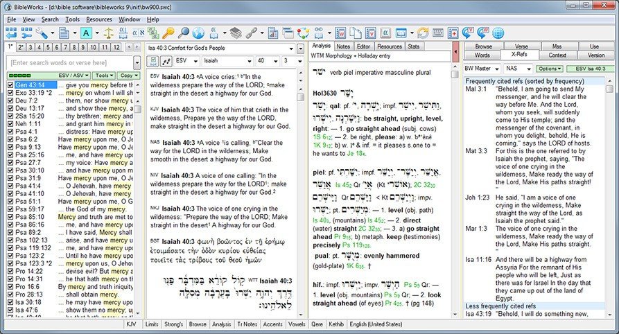 disable accents in bibleworks 10