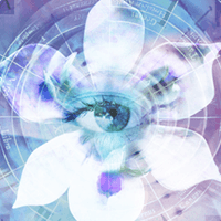 blue-iris icon