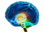 BrainScale.net icon