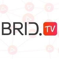 BridTV icon