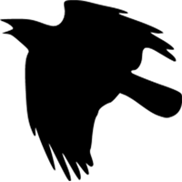 data-crow icon