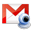 Google Voice and Video Chat icon