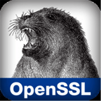 Biểu tượng OpenSSL nhỏ