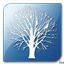 Apache Directory Studio icon
