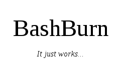 BashBurn icon