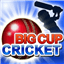 big-cup-cricket icon