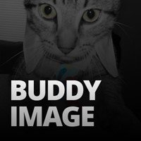 buddyimage-com icon