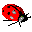 bug-brain icon