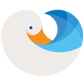 deep-dive-duck icon
