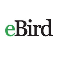 eBird icon