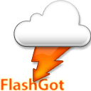 FlashGot icon