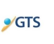 gts-translation icon