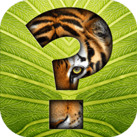 guess-the-animal icon
