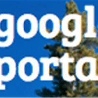 igoogle-portal icon
