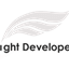 light-developer icon