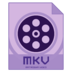 mkv-video-converter icon