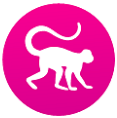 monkey-2 icon