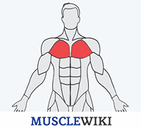 musclewiki icon