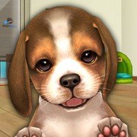 my-first-dog icon