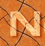 Net-Policy icon