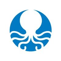 Octopus24 icon