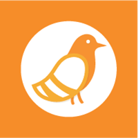Pigeonhole Live icon