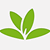 plantnet icon