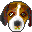 Proxyhound icon