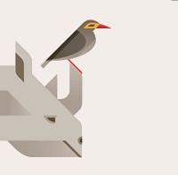 rhinobird-tv icon