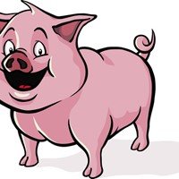 RSS Pig icon