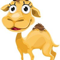 SEO camel icon