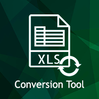 Spreadsheet Conversion Tool icon