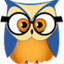 stat-owl icon