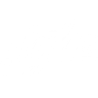Stylus icon