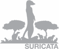 suricata icon