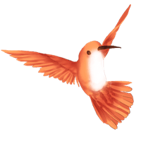 that-li-l-hummingbird icon