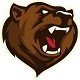 theredbear-torrents icon