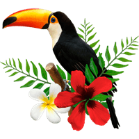 toucan-tasks icon
