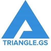 triangle-gs icon
