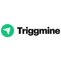 Triggmine icon