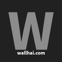 wallhai-com icon