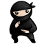 System Ninja icon