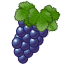 Vineyard icon